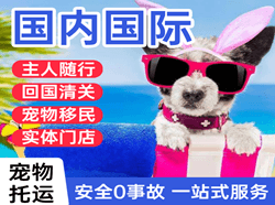 昭苏天马航空快递国际宠物托运 【国